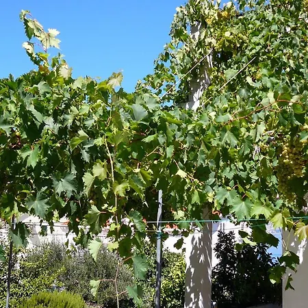 Appartement With A Parking Space Postira, Brac - 2919